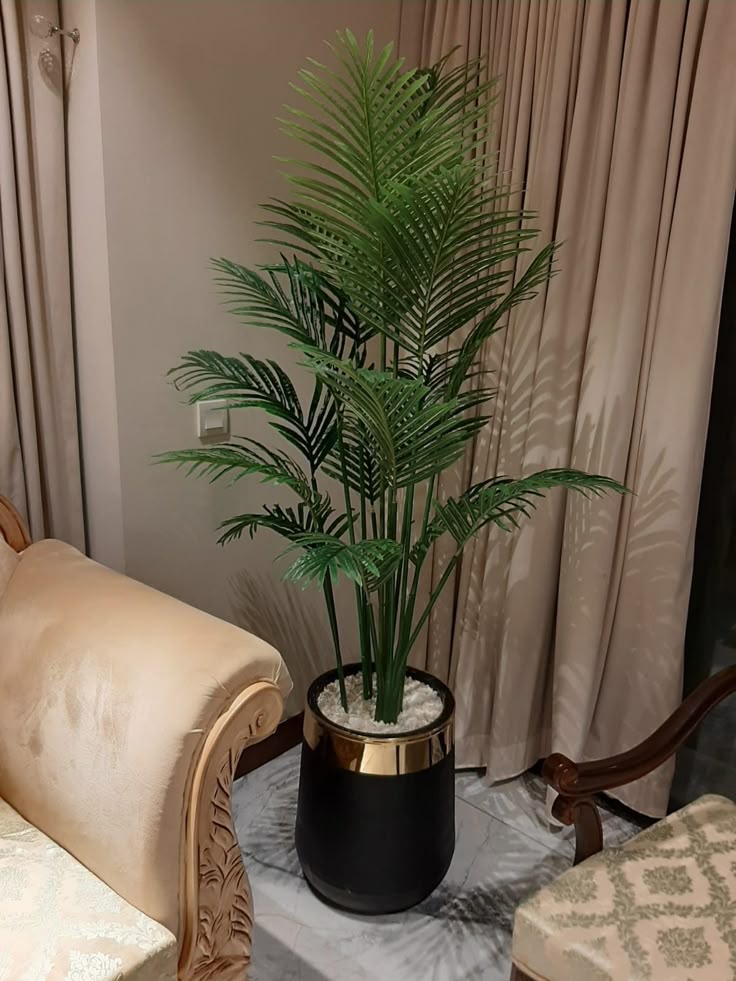 ARECA  Artifcal Plant
